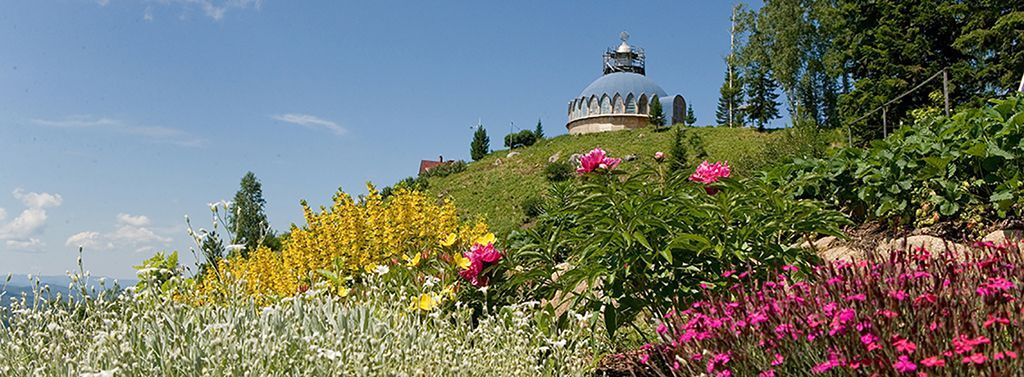 Община Виссариона сегодня Главная Xey