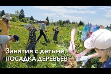 Занятия С Детьми. Посадка Деревьев В Обители Рассвета