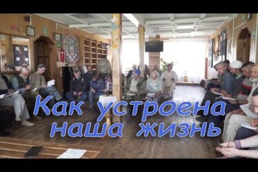 Как Устроена Наша Жизнь